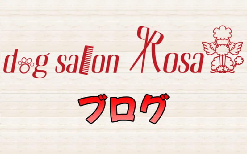 Dog Salon Rosaのブログ